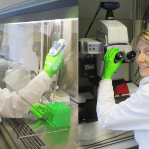 Bild v.l.n.r.: Dr. Laura Zorzetto, Dr. Cécile Bidan aus der Abteilung Biomaterialien am Max-Planck-Institut für Kolloid- und Grenzflächenforschung im Labor