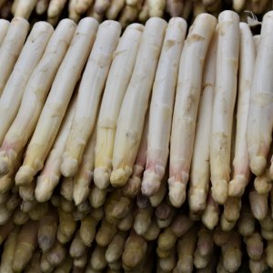 Spargel