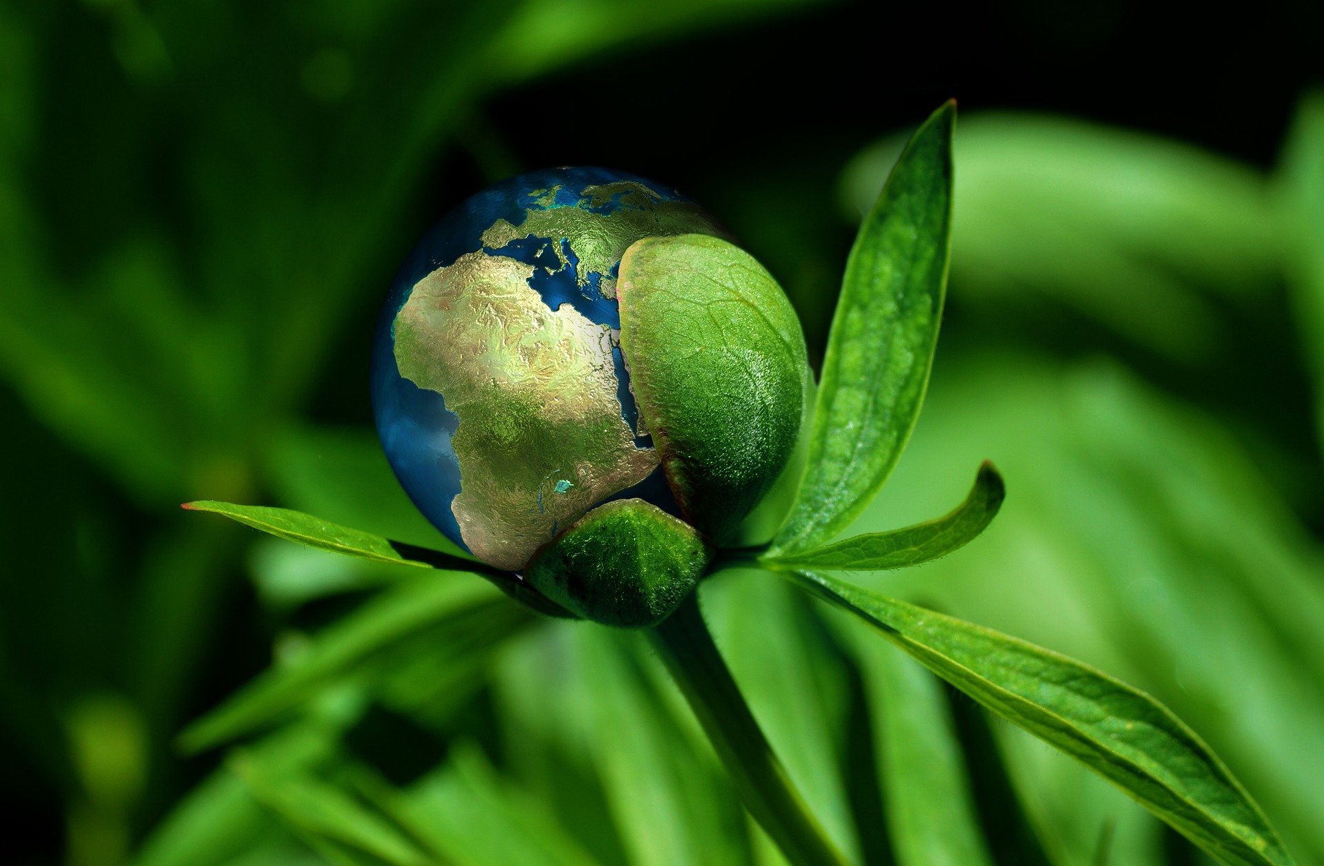 Welt grün Ökologie