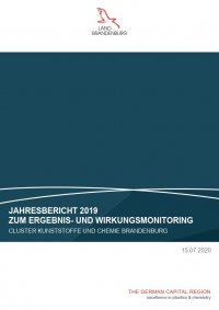 Jahresbericht 2019 zum Ergebnis- und Wirkungsmonitoring