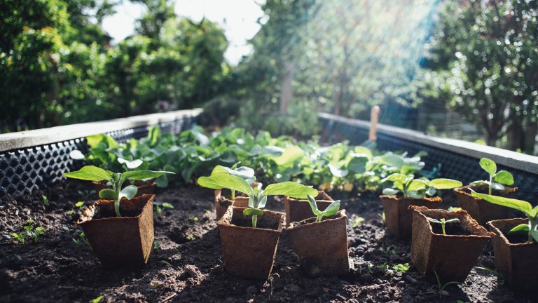 Hochbeet mit Recyclingdünger und -kompost