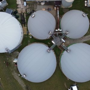 Die neu beschriebenen Bakterien sind in Biogasanlagen allgegenwärtig.